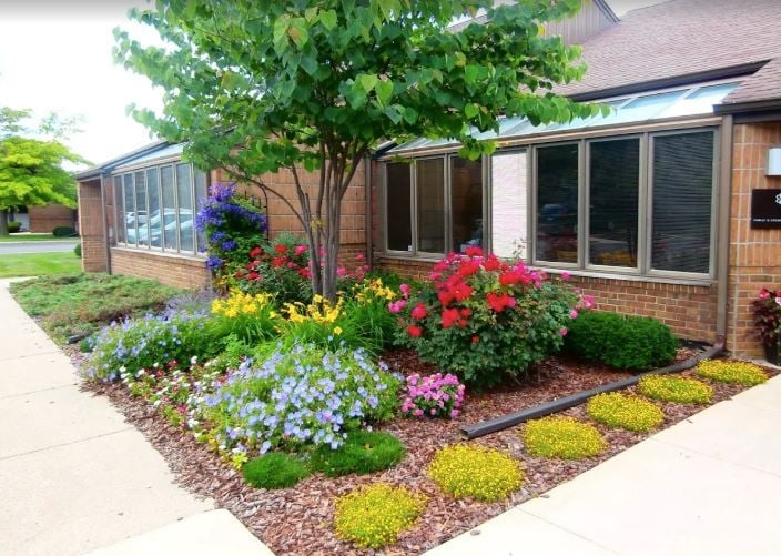 Everwell Dentistry image